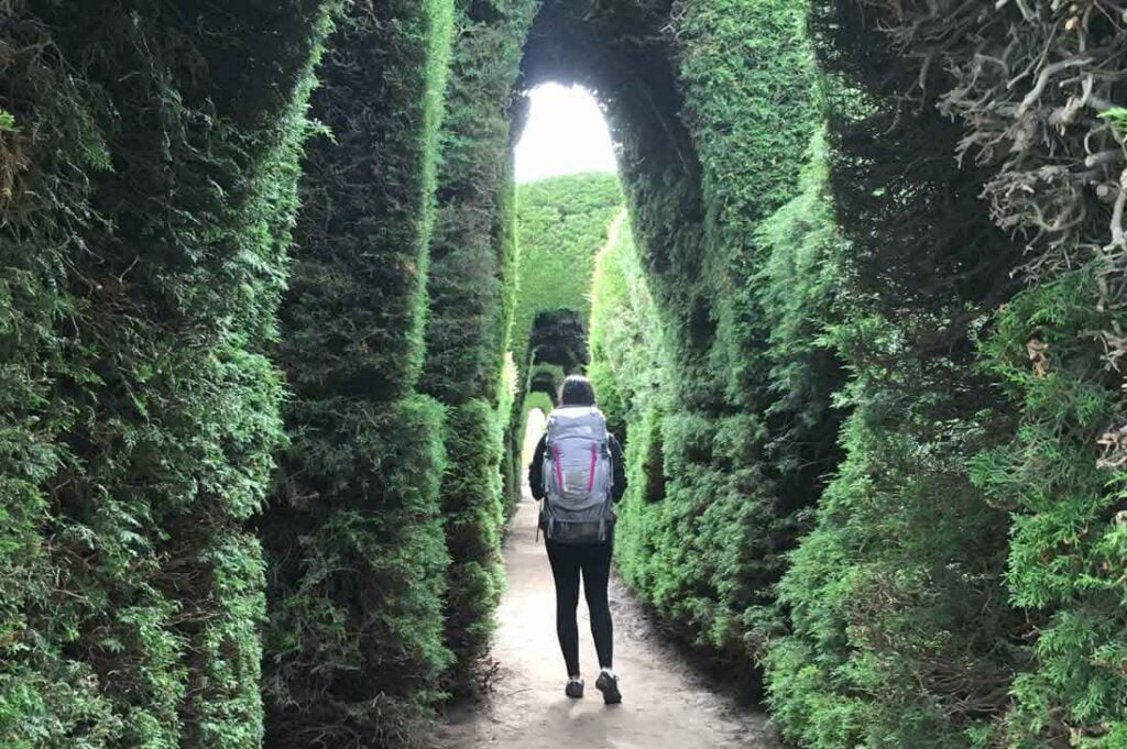 putting myself out there