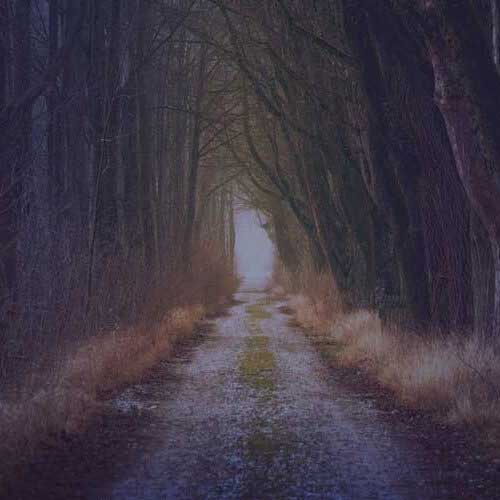 Parm's Yoga | Spiritual Growth | How to Raise your Level of Consciousness level of consciousness | How to Raise your Level of Consciousness