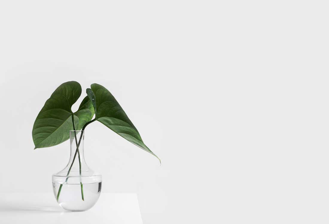 Minimalism to Help you Let Go of the Past and Declutter your Life. Everything that doesn't serve you is taking away from you. Photo by Sarah Dorweiler, Aesence.