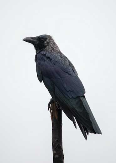 spiritual awakening | The Ultimate Spiritual Awakening Guide [4 Stages, Signs, Symptoms & More]